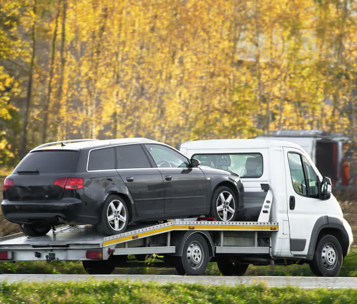Vehicle_Transport